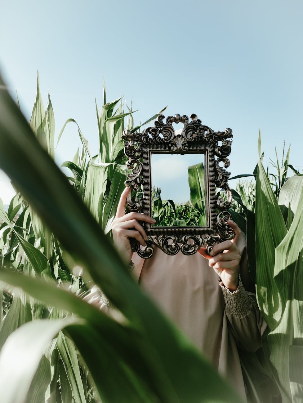 woman holding an ornamented retro mirror in a maize field