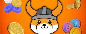 floki inu
