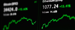 close up shot of computer screen