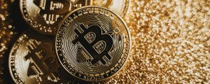 close up photo of gold coins